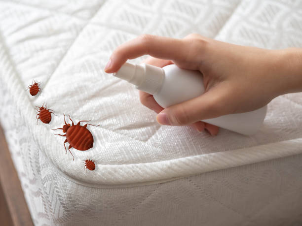 Best Cockroach Control  in Bridgeville, DE